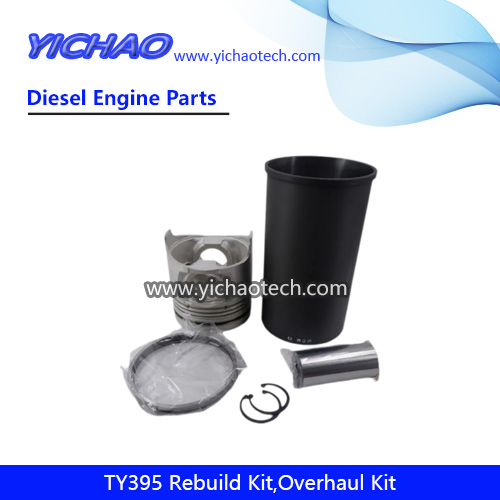 Ty395 Kit de Reparo de Sobrecarga de Motor Diesel Peças de Reposição para Jiangdong Yangdong Changchai Laidong Jinma Foton Dongfeng Motor de Trator