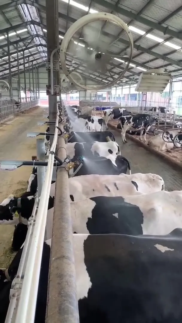 Sistema de arrefecimento inteligente para vacas
