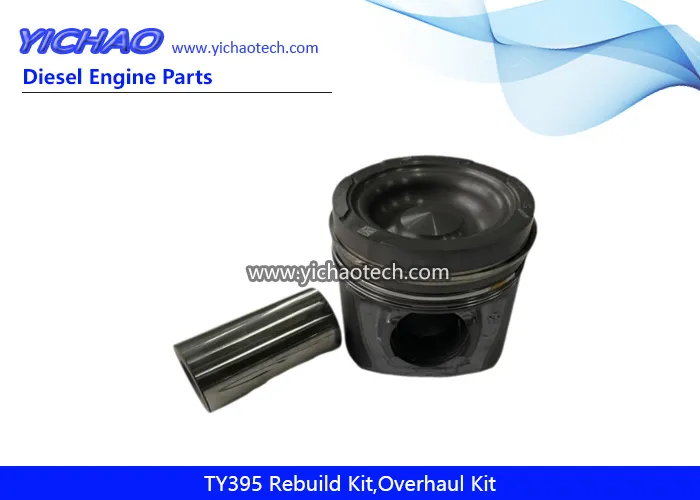 Ty395 Kit de Reparo de Sobrecarga de Motor Diesel Peças de Reposição para Jiangdong Yangdong Changchai Laidong Jinma Foton Dongfeng Motor de Trator