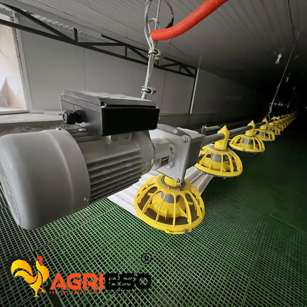 Sistema de Motor para Fazendas de Frangos Agriseo Automático Linha de Aves Transtecno Itália 0.75kw