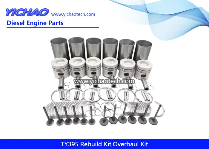 Ty395 Kit de Reparo de Sobrecarga de Motor Diesel Peças de Reposição para Jiangdong Yangdong Changchai Laidong Jinma Foton Dongfeng Motor de Trator