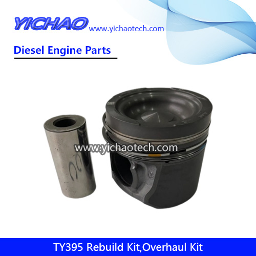 Ty395 Kit de Reparo de Sobrecarga de Motor Diesel Peças de Reposição para Jiangdong Yangdong Changchai Laidong Jinma Foton Dongfeng Motor de Trator