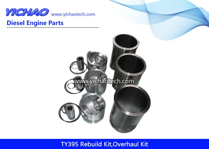 Ty395 Kit de Reparo de Sobrecarga de Motor Diesel Peças de Reposição para Jiangdong Yangdong Changchai Laidong Jinma Foton Dongfeng Motor de Trator
