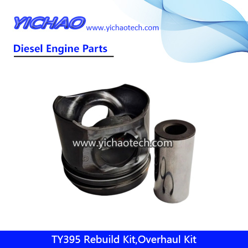 Ty395 Kit de Reparo de Sobrecarga de Motor Diesel Peças de Reposição para Jiangdong Yangdong Changchai Laidong Jinma Foton Dongfeng Motor de Trator