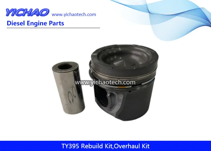 Ty395 Kit de Reparo de Sobrecarga de Motor Diesel Peças de Reposição para Jiangdong Yangdong Changchai Laidong Jinma Foton Dongfeng Motor de Trator