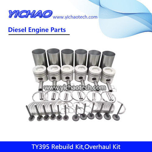 Ty395 Kit de Reparo de Sobrecarga de Motor Diesel Peças de Reposição para Jiangdong Yangdong Changchai Laidong Jinma Foton Dongfeng Motor de Trator