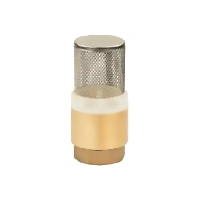 High-Quality High-Performance Brass Spring Check Valve: Reliable Backflow Prevention for Fluid Systems Manufacturers, Factory