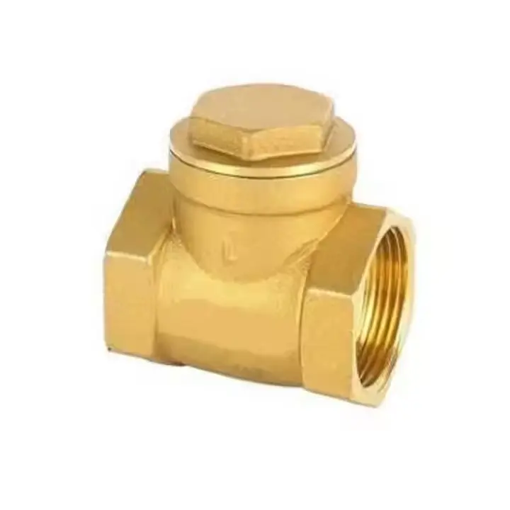 Brass Angle Valve with PVC Cover and Brass Swing Check Valve Image 1
