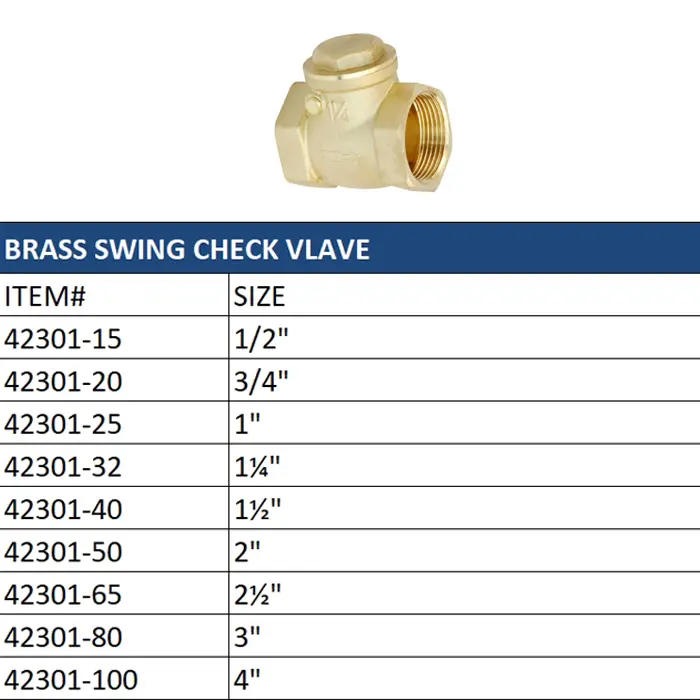 Brass Swing Check Valve detail view