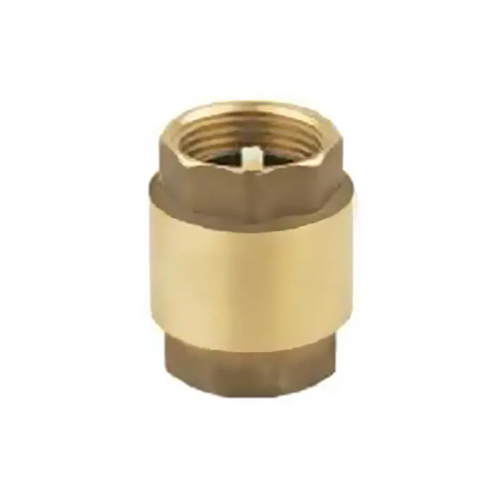 High-Quality High-Performance Brass Spring Check Valve: Reliable Backflow Prevention for Fluid Systems Manufacturers, Factory