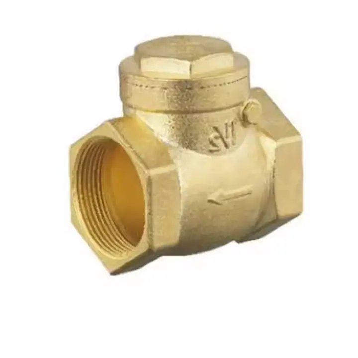 Brass Angle Valve with PVC Cover and Brass Swing Check Valve Image 2