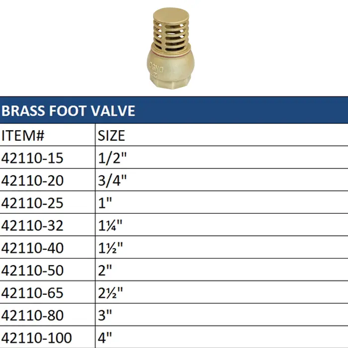 High-Quality Brass Swing Check Valve for Efficient Unidirectional Flow