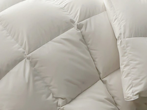 Luxurious White 100% Cotton Duvet Insert for All Seasons