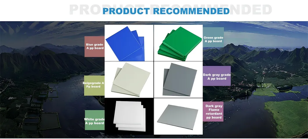 Recommended Products