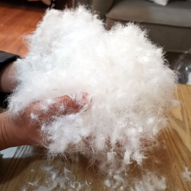 All Season White Goose / Feather Feather Down Hotel Bedding Comforter Duvet Insert