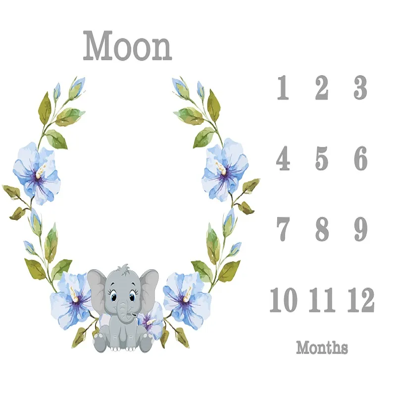 Baby Milestone Blanket Detail 2