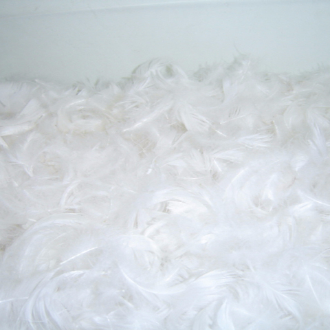 Factory Supply White Duck Feather Down Bed Sleeping Duvet / Quilt Insert