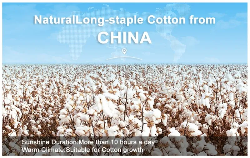 Cotton Material Detail