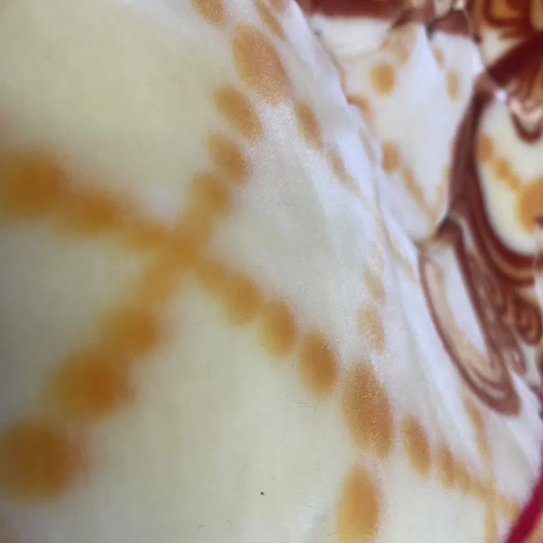 Soft Skin Friendly Microfiber Fleece Blanket 4