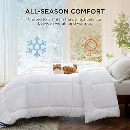 Wholesale Cheap Modern Duvet Flannel Wool Bedspread Winter Comforter Set Winter Quilt for Bed