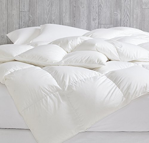 Down Alternative Comforter (Blue/Dark Grey, King) - All Season Soft Quilted King Size Bed Comforter - Duvet Insert with Corner Tabs