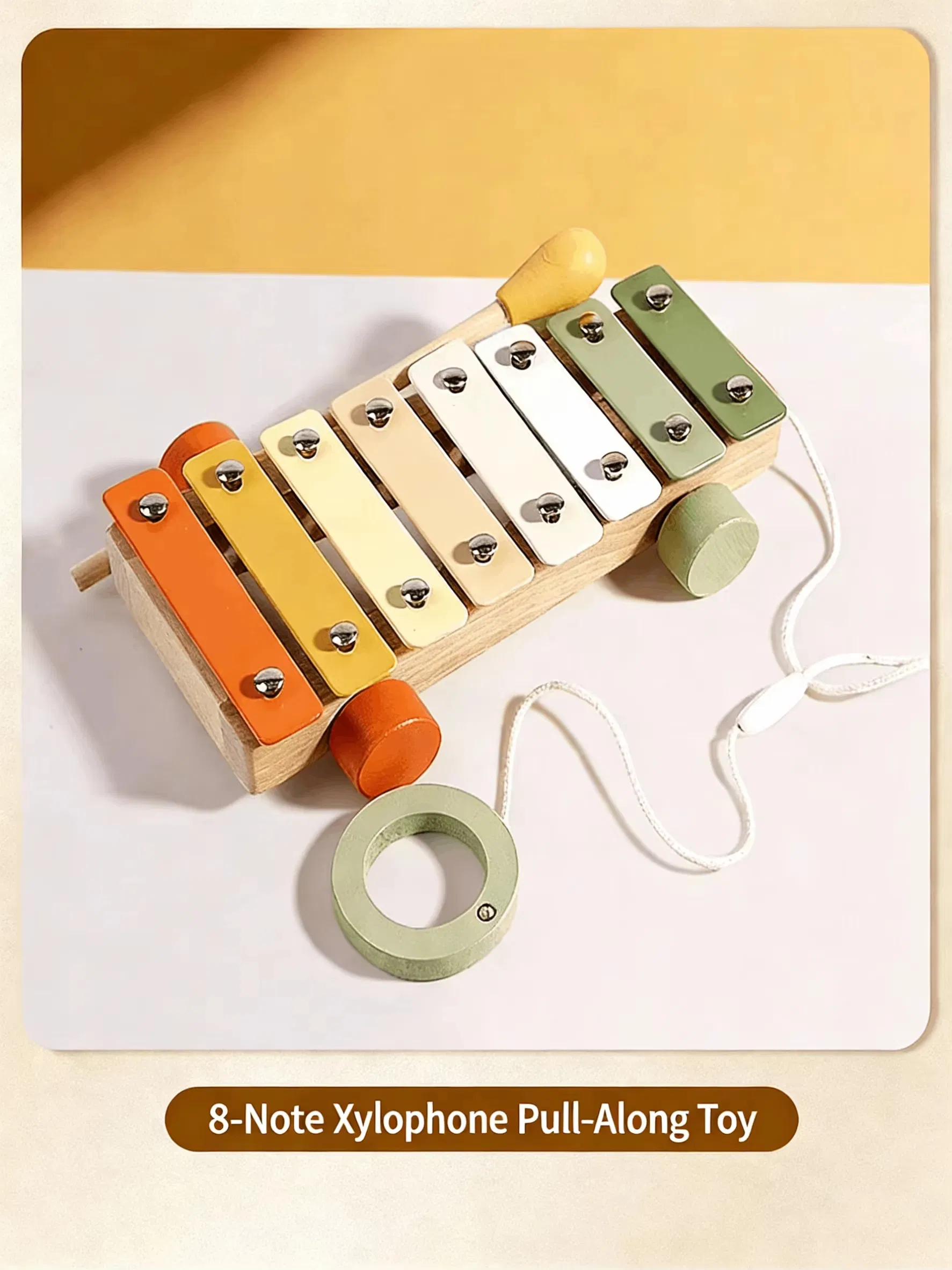 Musical Instrument Shaker