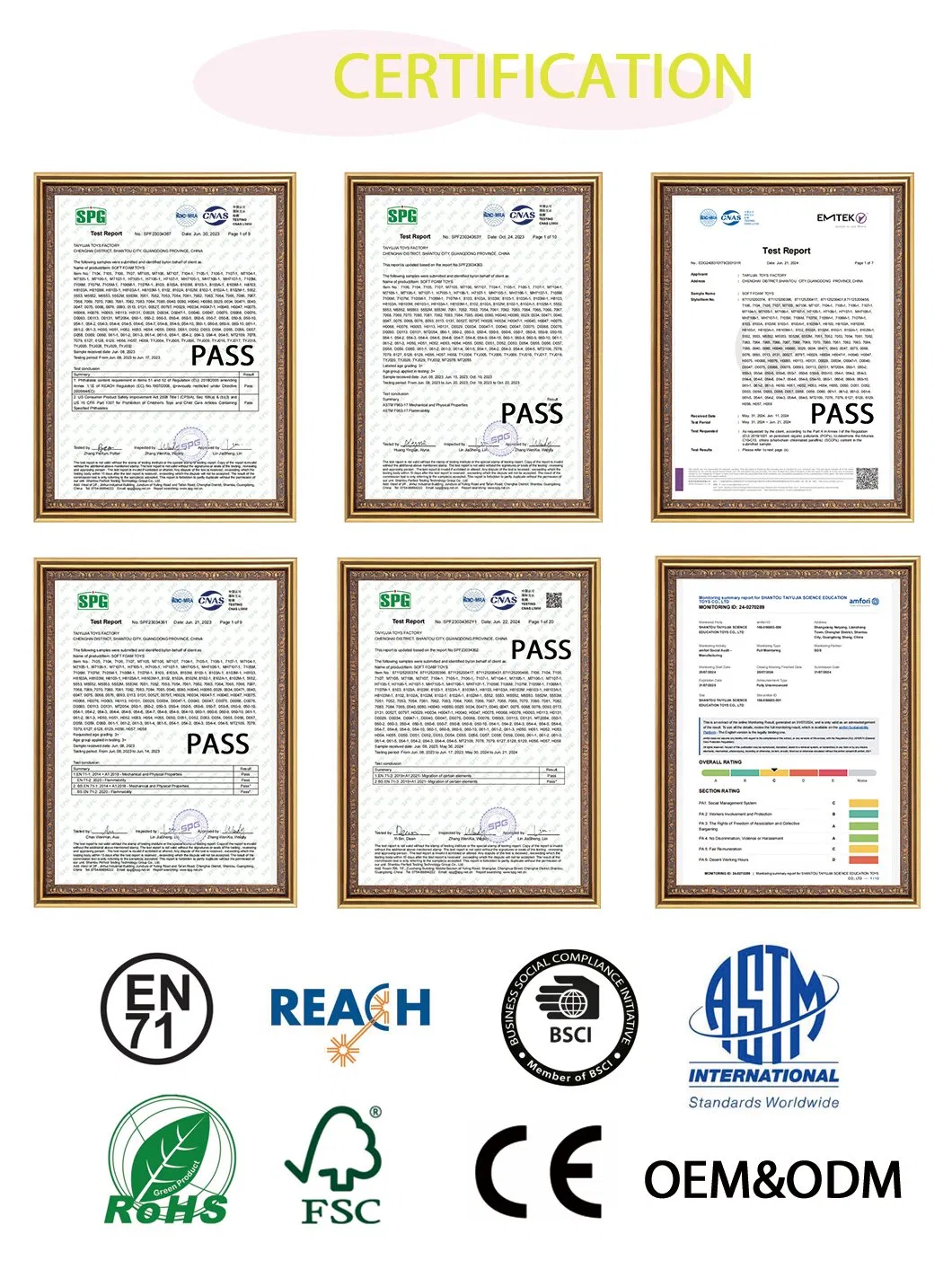 Certificado 1