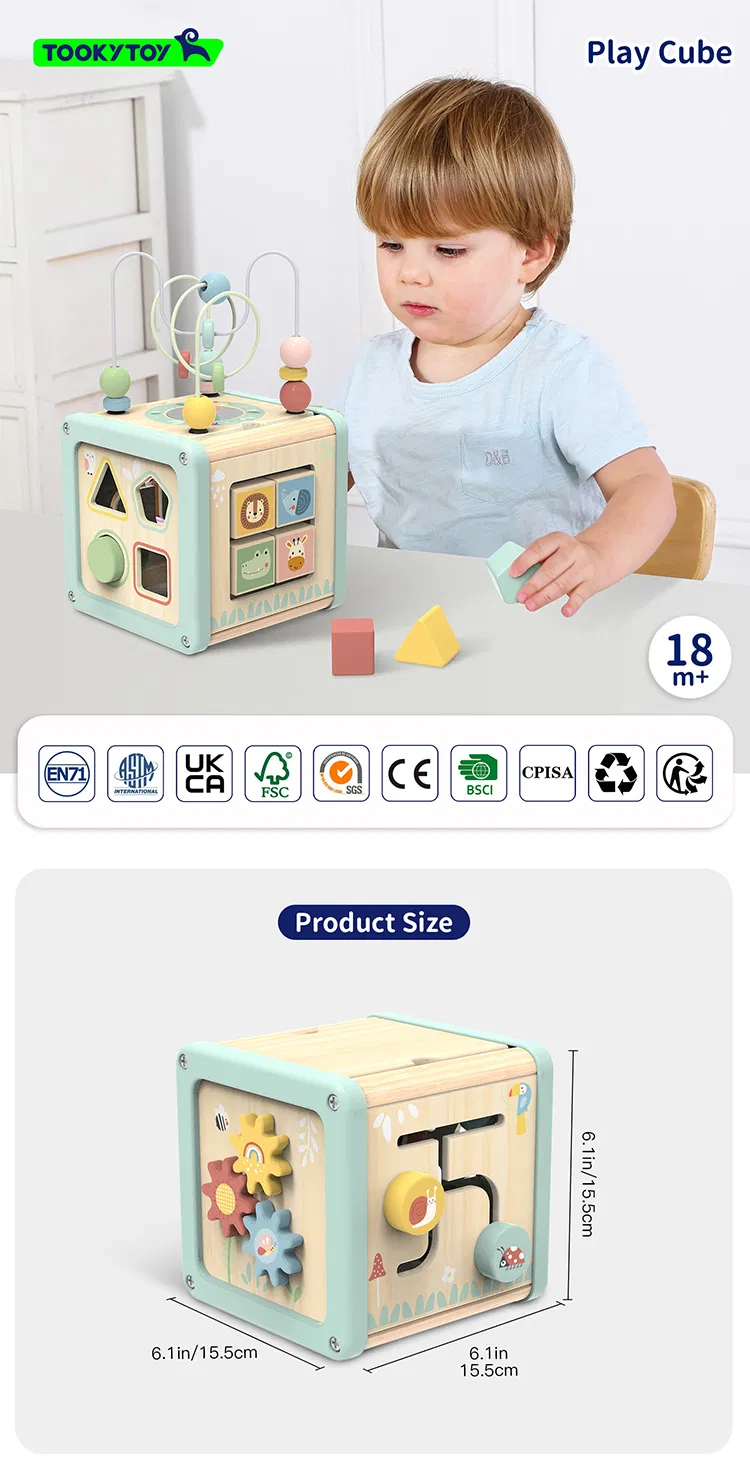 Montessori Atividades