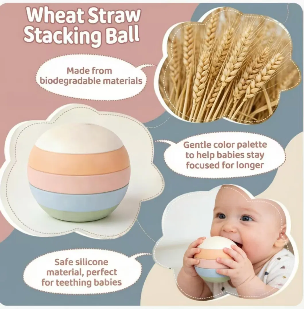 Sensorial Baby Toy 1