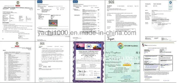Relatório de teste e certificado