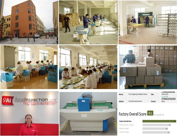 Envio 2