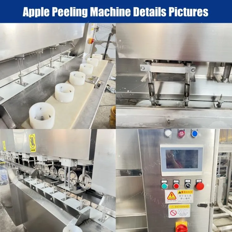 Apple Processing