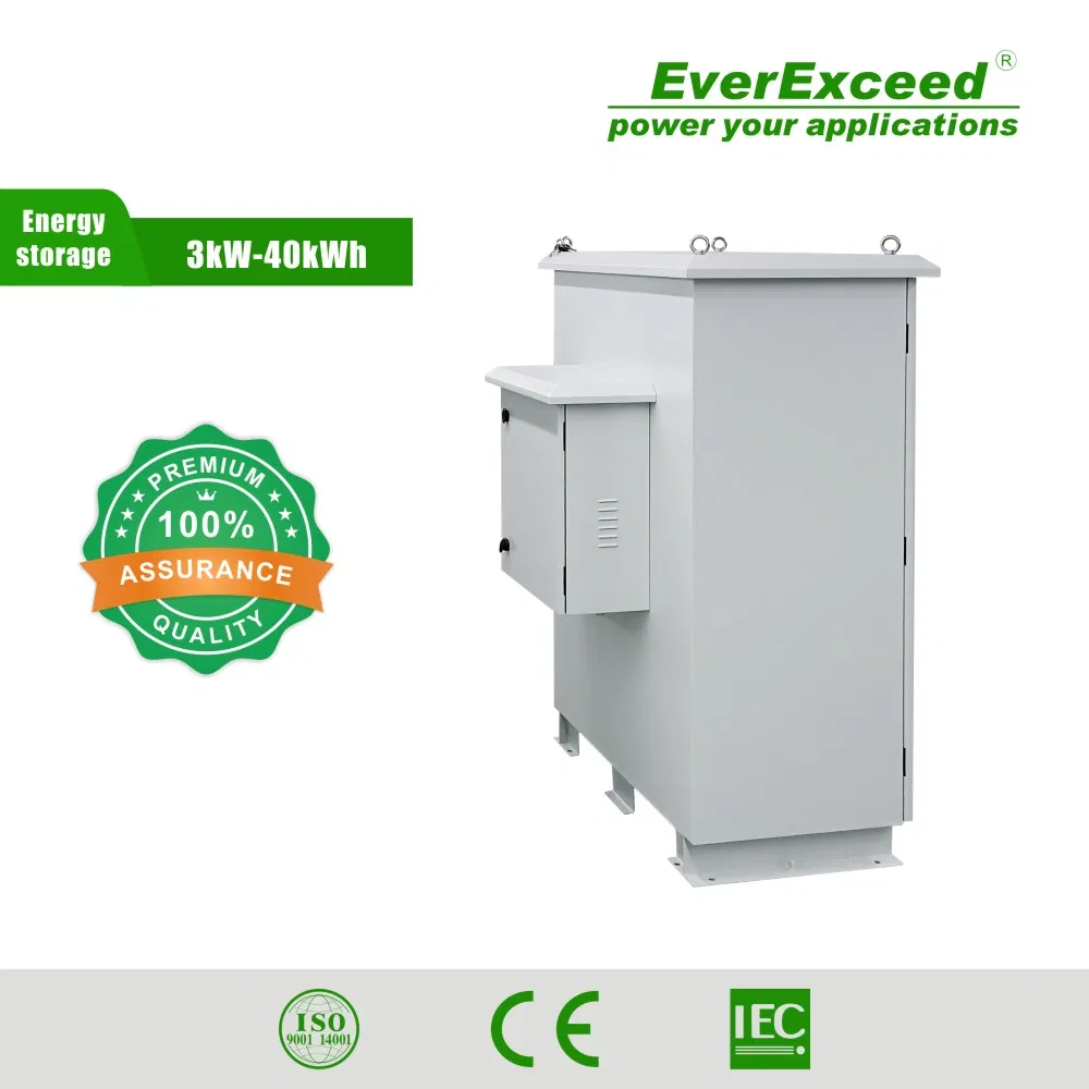 Everexceed Outdoor Power System 40kwh Energy Storage Solution with Factory Price