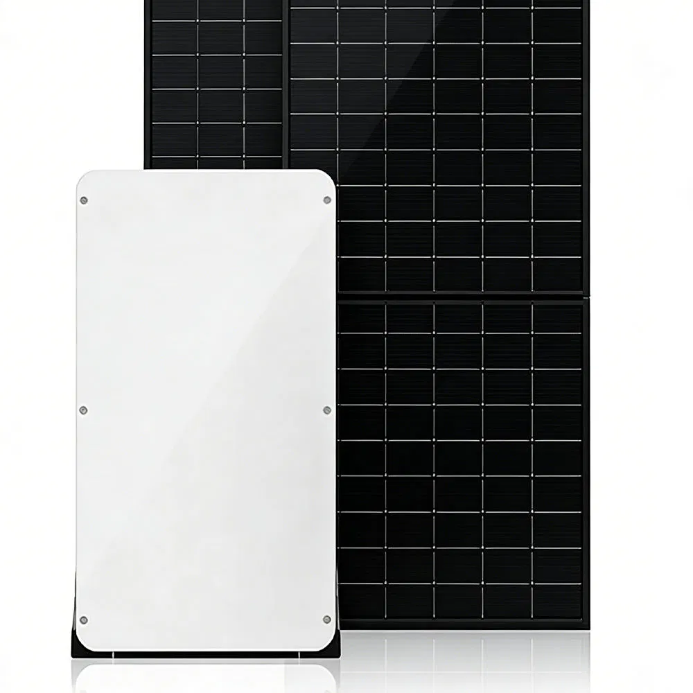 Custom Dual Solar Inverter 48V Low-Voltage Battery Dual-Phase Low-Frequency Hybrid Grid-Tied 3.6kw 5kw 6kw 120V/240V EU Stock