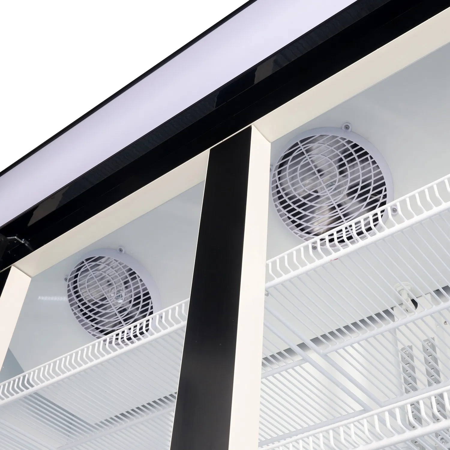 Apex Commercial Upright Double Glass Doors Cold Coke Display Fridge