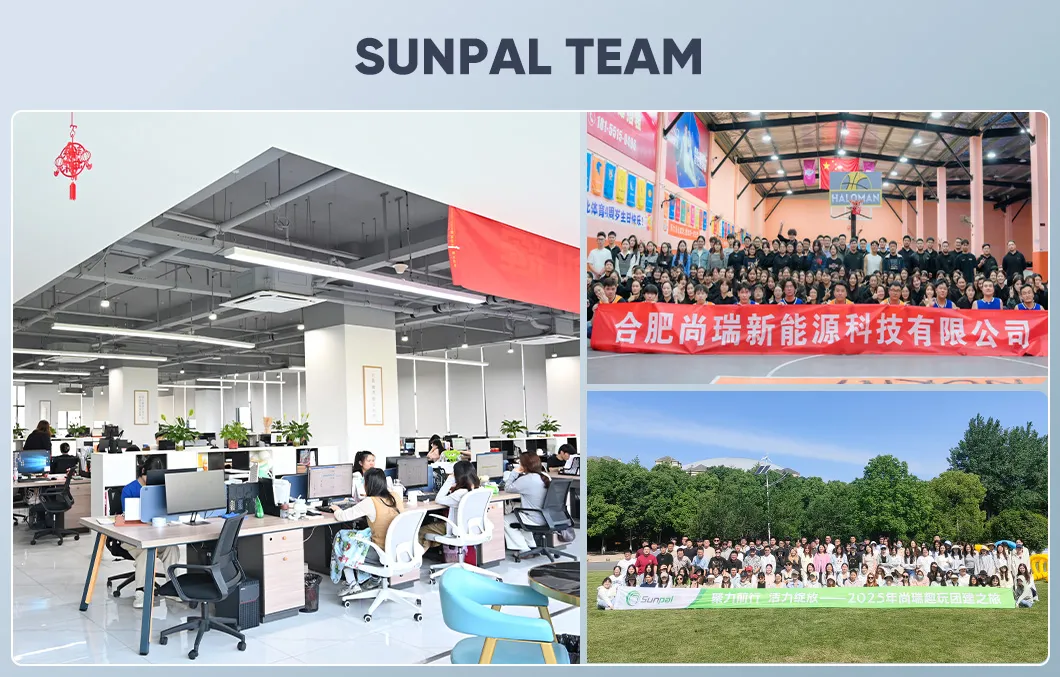 Professional Service