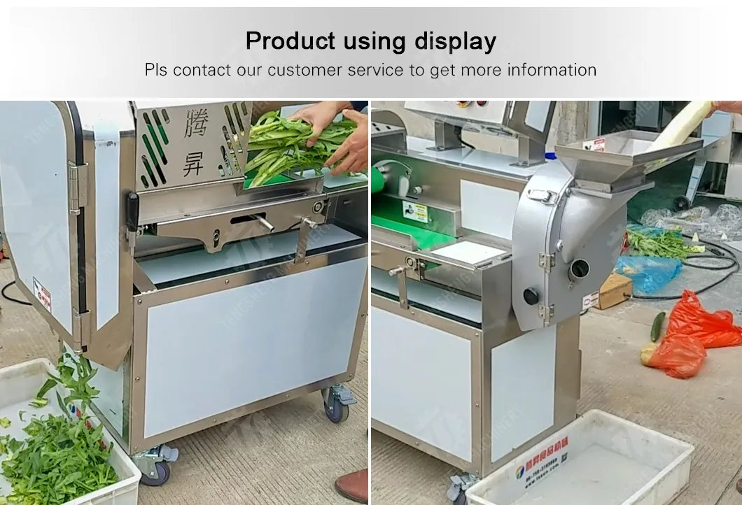 Vegetable Cutter Machine Detail