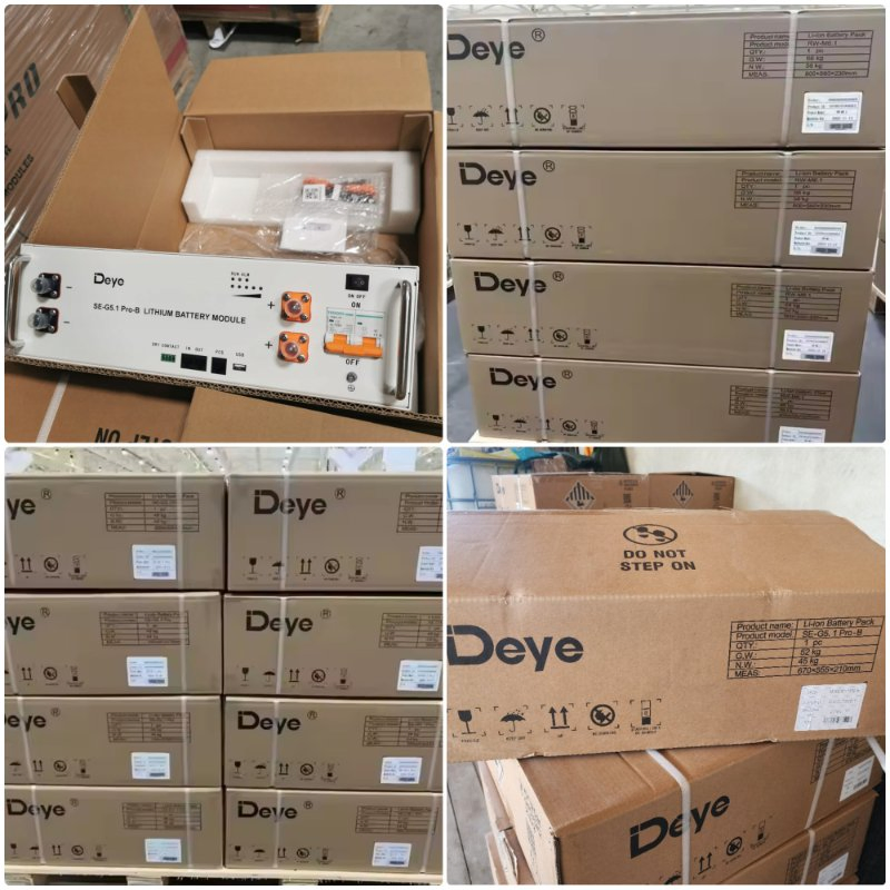 Deye Lithium Ion Batteries Se-G5.1 PRO-B LFP Lithium Battery Rack Energy Storage System Low Voltage Batteries
