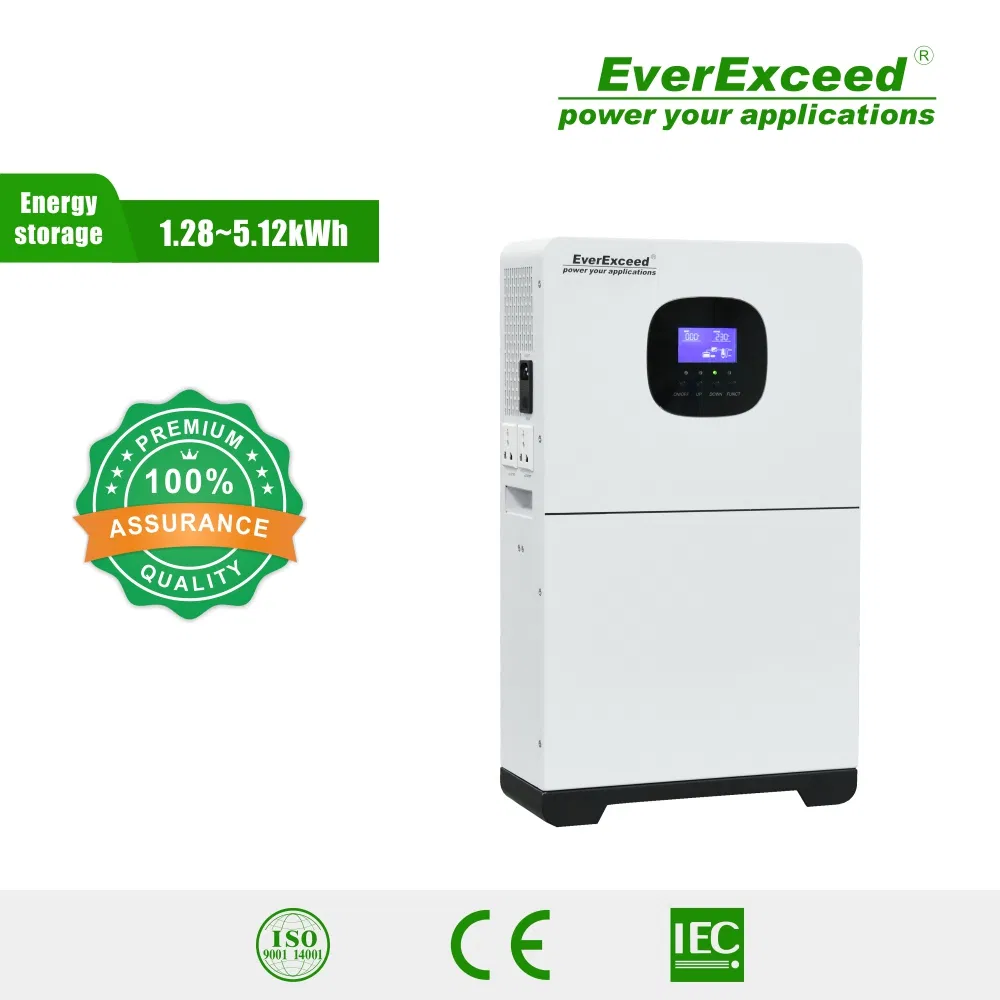 Everexceed 6000 Cycles 100ah-200ah Residential Energy Solution Storage System