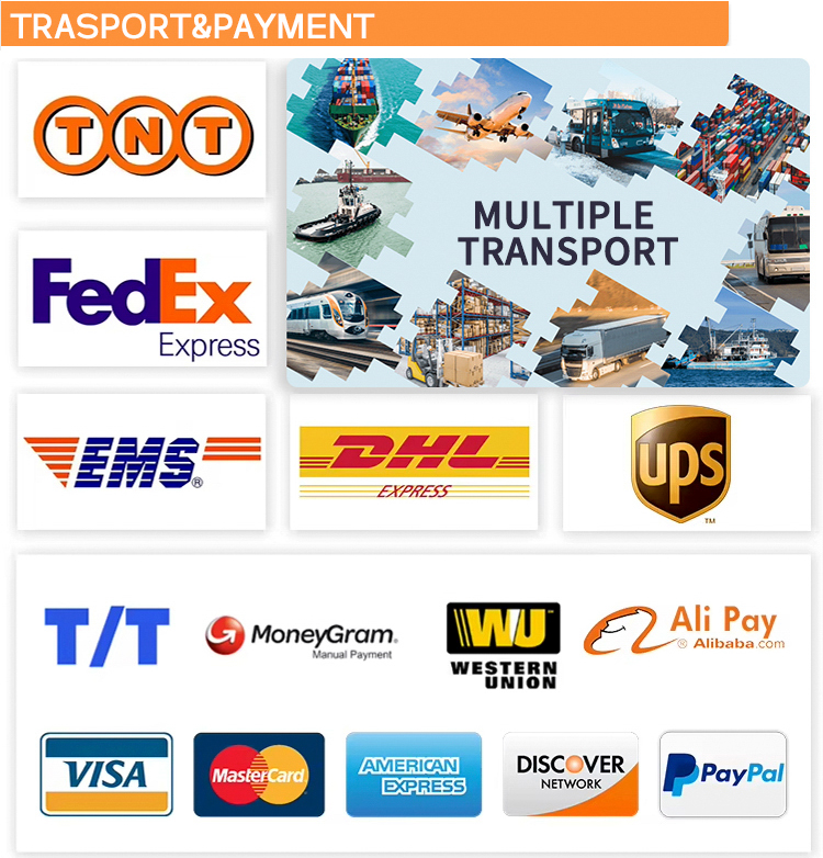 Shipment and Payment Information