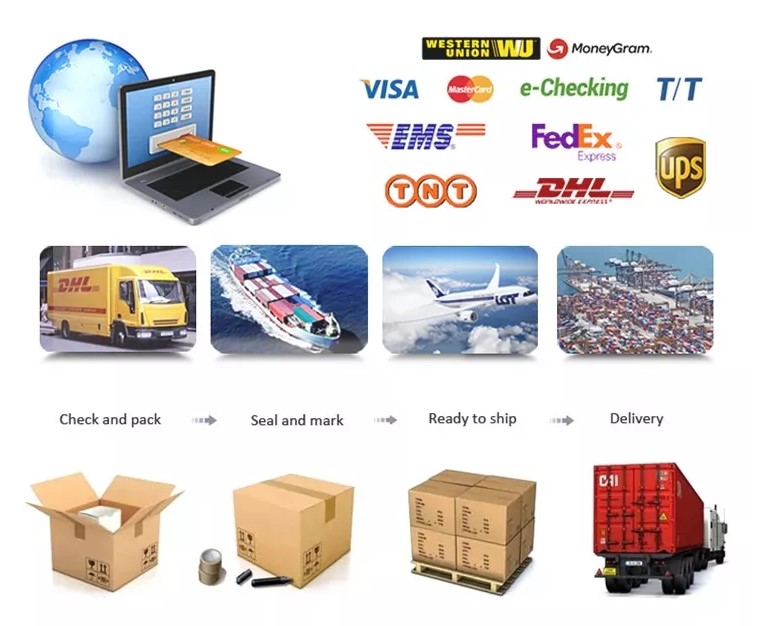 Packing and shipment process
