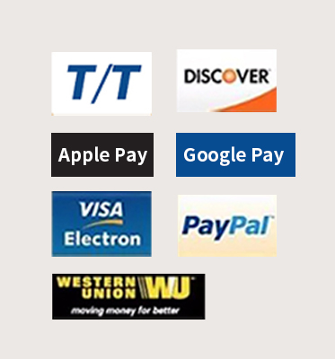 Multiple credit debit card PayPal payment methods