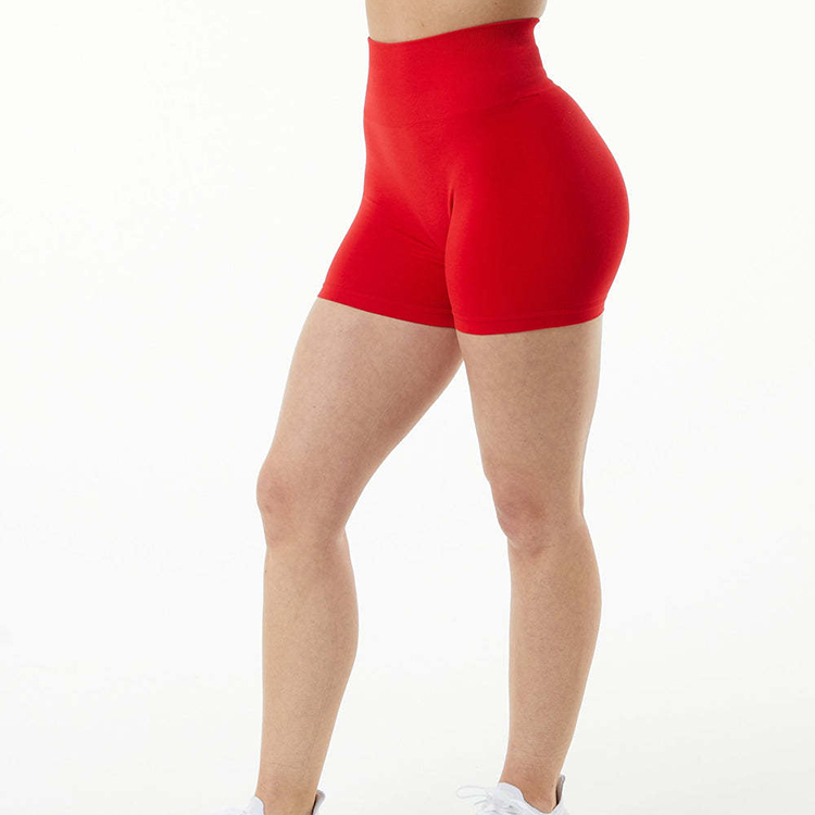 Seamless Gym Shorts Style 4