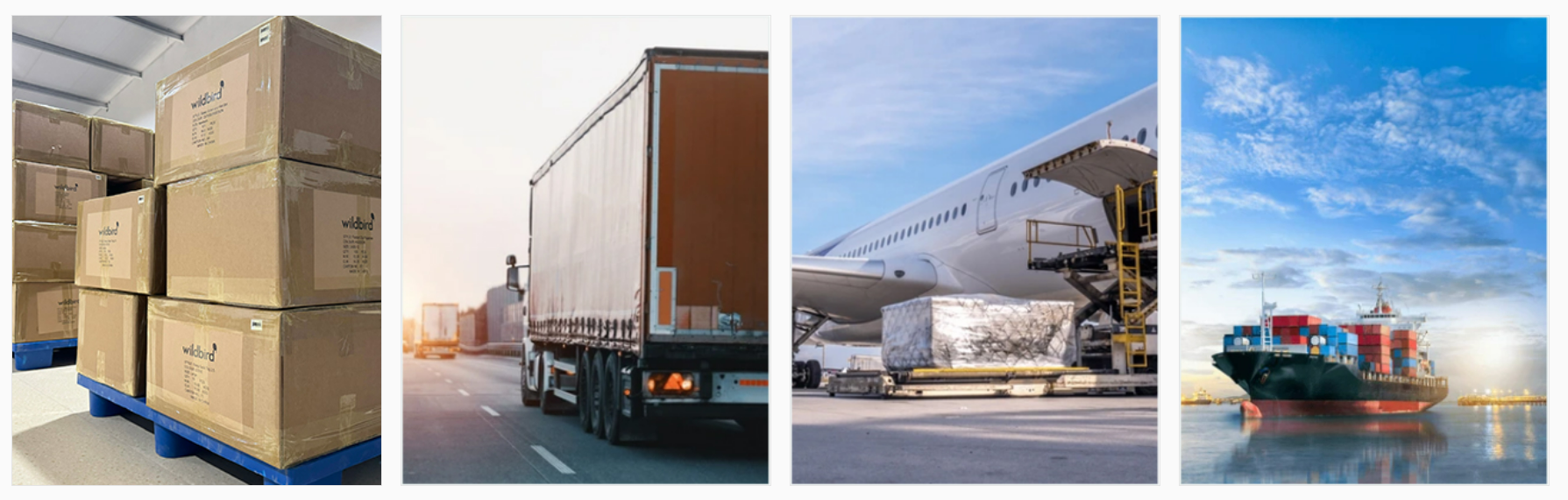 Shipping Logistics