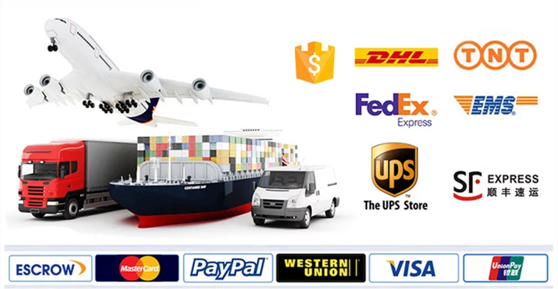 Secure Packing & International Shipping Logistics