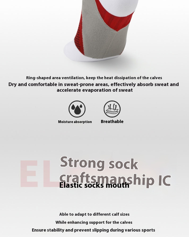 Product View 7