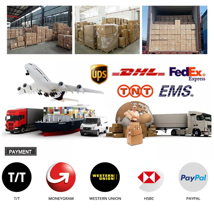Packing and Shipping Process