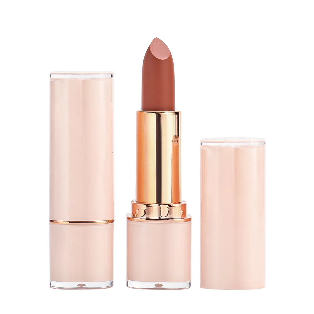 Makeup Lipstick