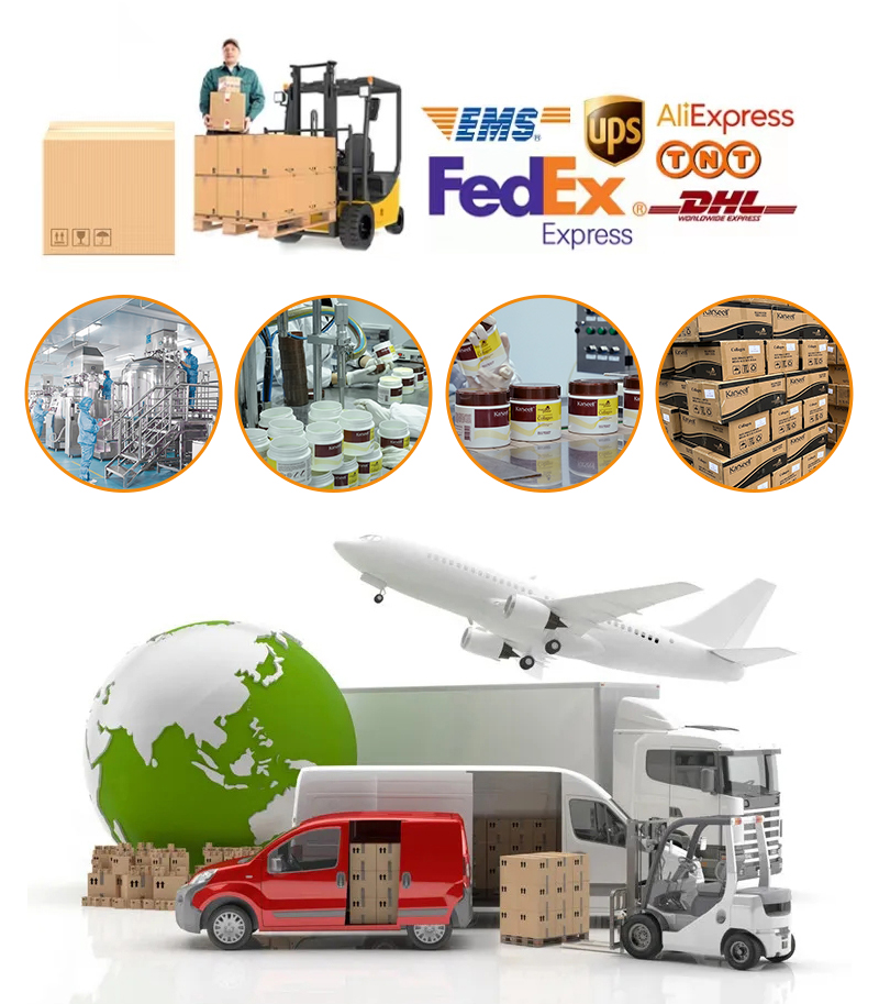 Logistics & Packing