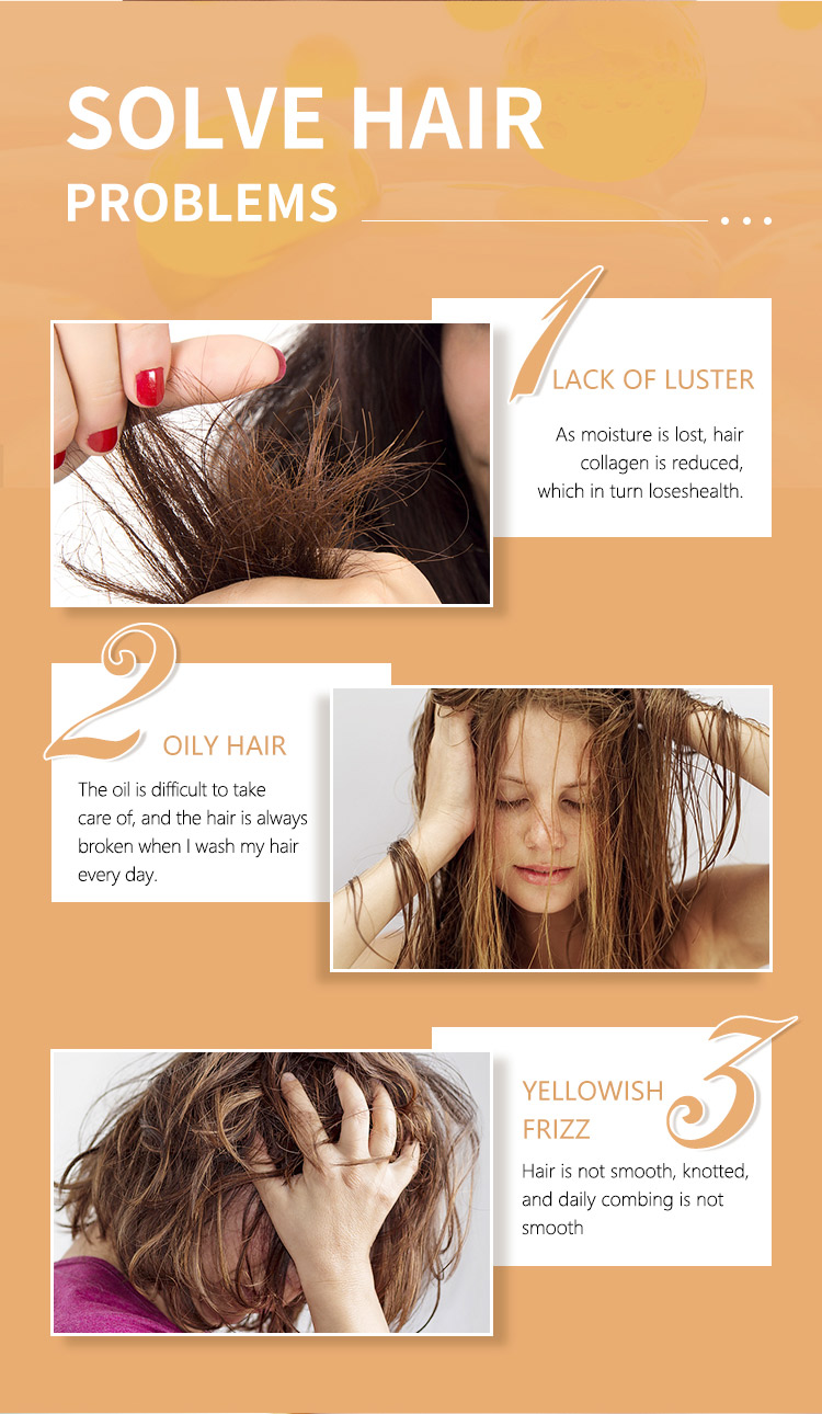 Professional Sulfate Free Repair Shampoo Manufacturer OEM ODM Available